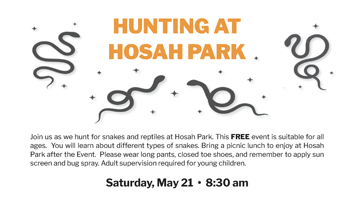 Hunting at Hosah Park in Zion